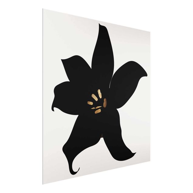 Glasbild - Grafische Pflanzenwelt - Orchidee Schwarz und Gold - Quadrat 1:1