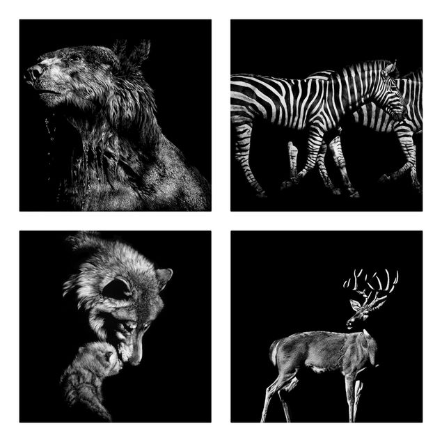 Leinwandbild 4-teilig - Wildtiere vor Schwarz Set I