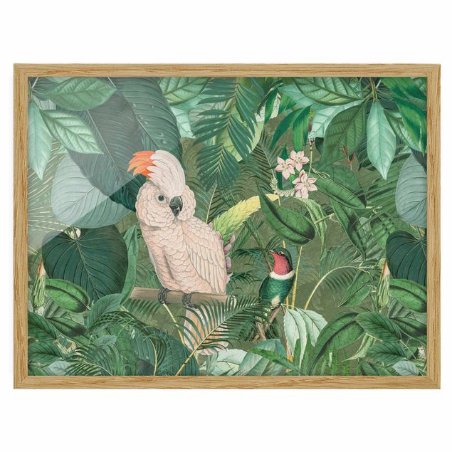 Bild mit Rahmen - Vintage Collage - Kakadu und Kolibri - Querformat 3:4