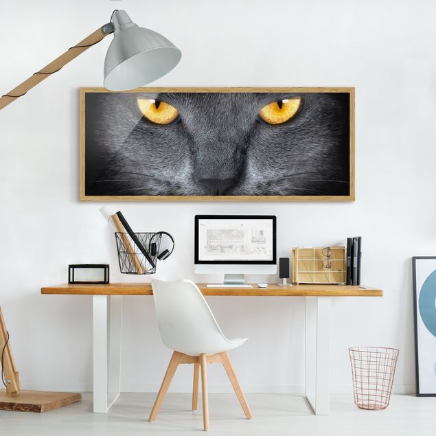 Bild mit Rahmen - Cats Gaze - Panorama Querformat