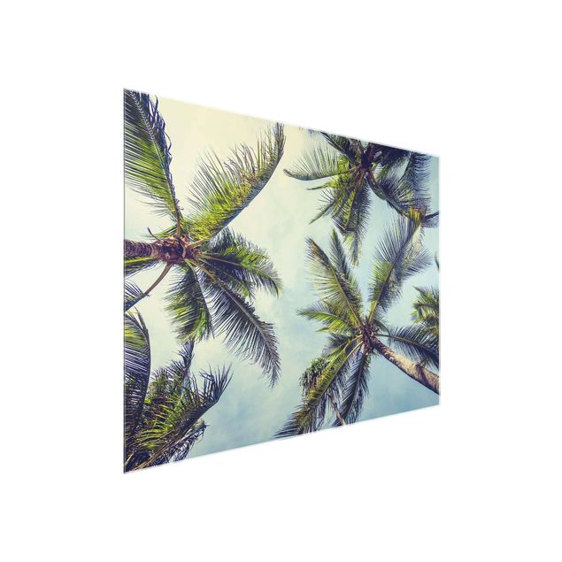 Glasbild - Die Palmen - Querformat