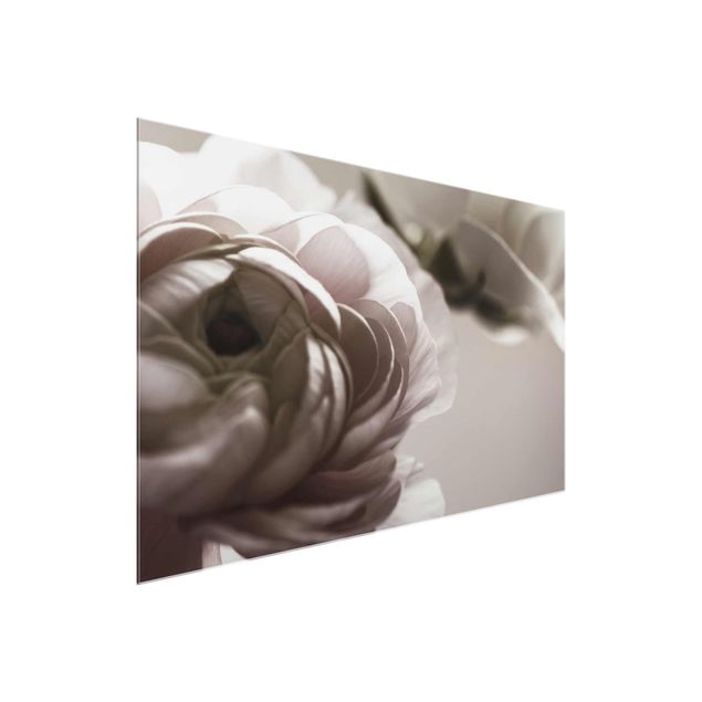 Glasbild - Dunkle Blüte im Fokus - Querformat