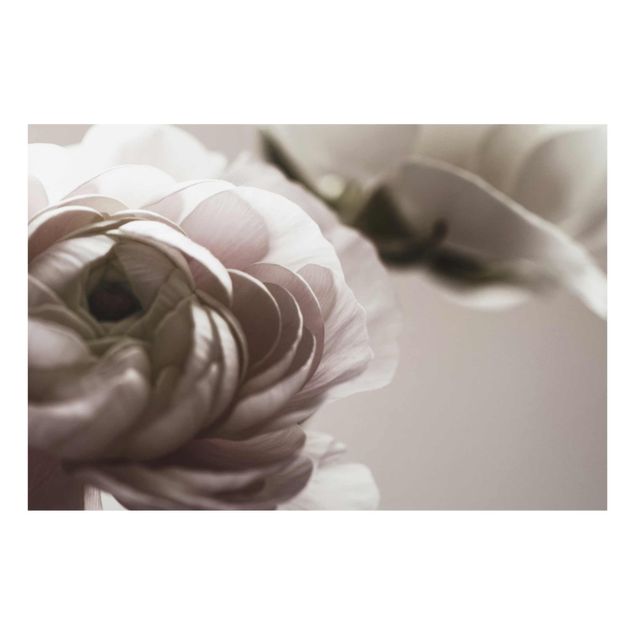 Glasbild - Dunkle Blüte im Fokus - Querformat