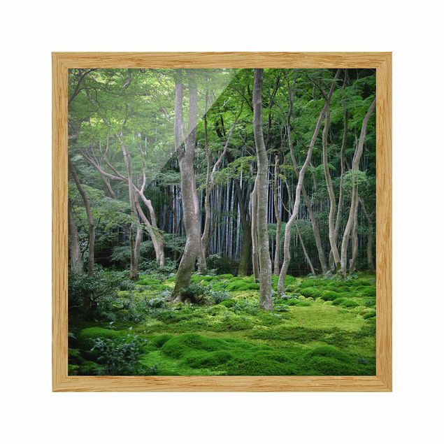 Bild mit Rahmen - Japanischer Wald - Quadrat 1:1