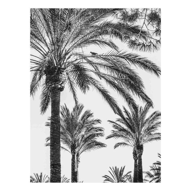 Glasbild - Palmen im Sonnenuntergang Schwarz-Weiß - Hochformat 4:3