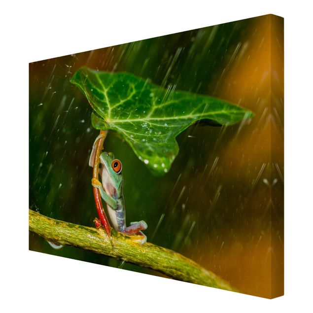 Leinwandbild - Ein Frosch im Regen - Querformat 3:4
