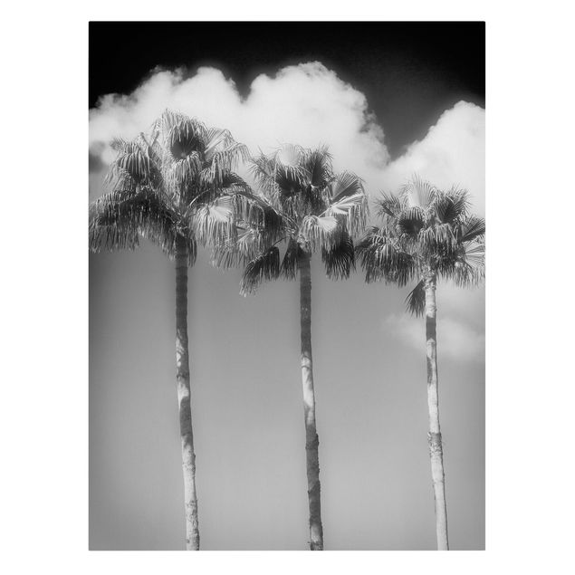 Leinwandbild - Palmen vor Himmel Schwarz-Weiß - Hochformat 4:3