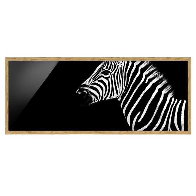 Bild mit Rahmen - Zebra Safari Art - Panorama Querformat