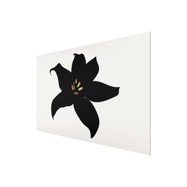 Glasbild - Grafische Pflanzenwelt - Orchidee Schwarz und Gold - Querformat 2:3