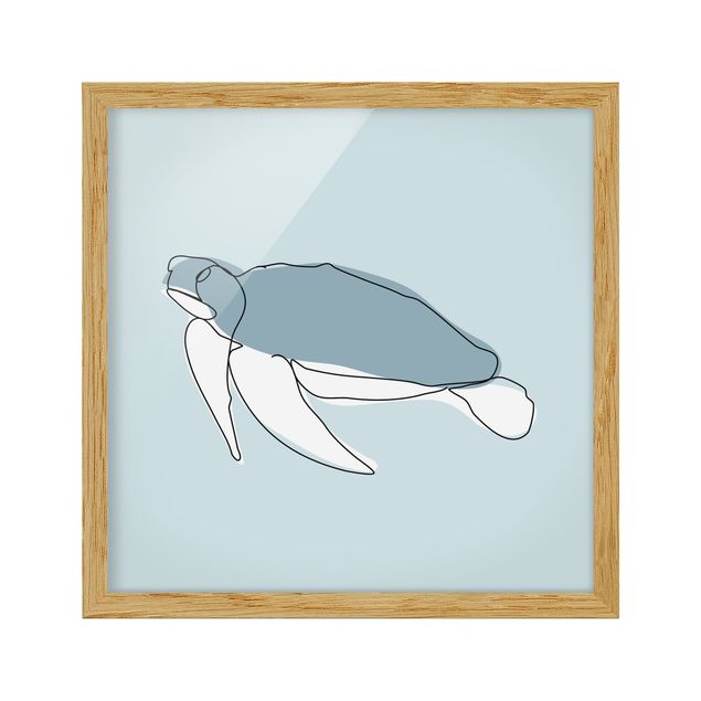 Bild mit Rahmen - Schildkröte Line Art - Quadrat 1:1