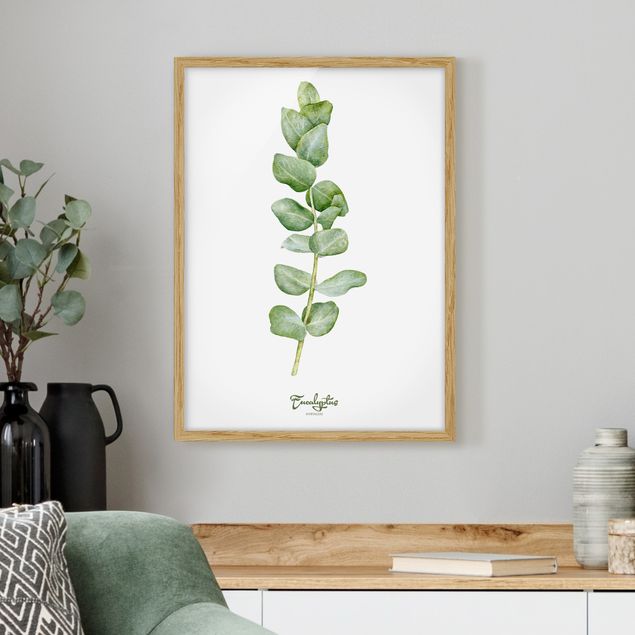 Bild mit Rahmen - Aquarell Botanik Eukalyptus - Hochformat 3:4