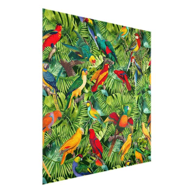Glasbild - Bunte Collage - Papageien im Dschungel - Quadrat 1:1