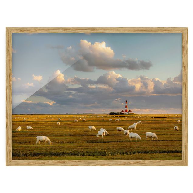 Bild mit Rahmen - Nordsee Leuchtturm mit Schafsherde - Querformat 3:4