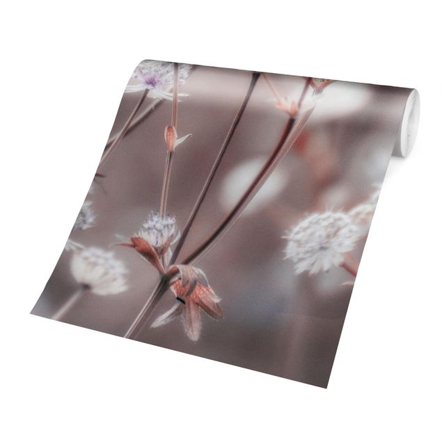 Fototapete - Federleichte Wildblumen - Quadrat