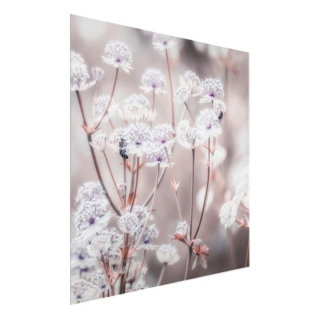 Glasbild - Federleichte Wildblumen - Quadrat