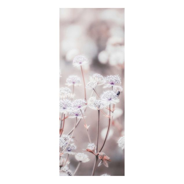 Glasbild - Federleichte Wildblumen - Hochformat