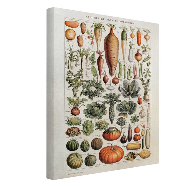 Leinwandbild - Vintage Lehrtafel Gemüse - Hochformat 4:3