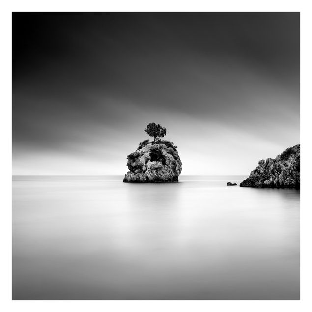 Fototapete - Felseninsel im Meer Schwarz-Weiß