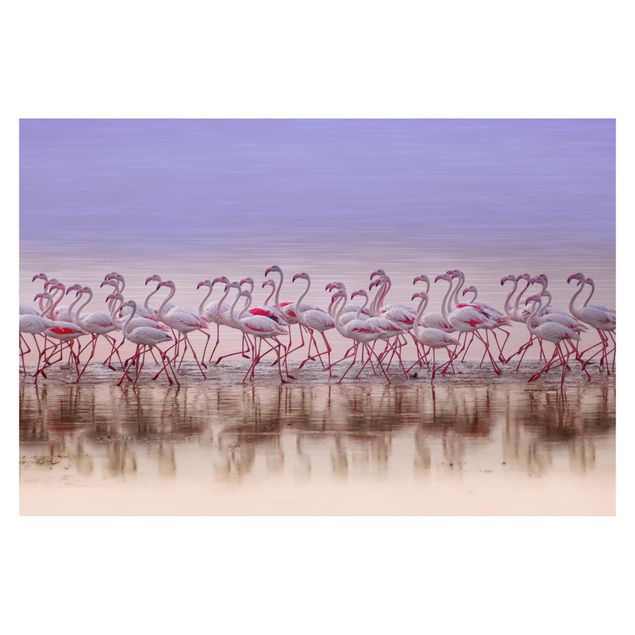 Fototapete - Flamingo Party