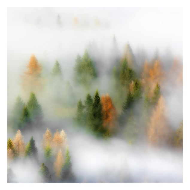 Fototapete - Nebelwald im Herbst