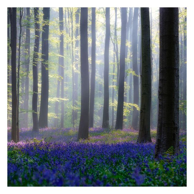 Fototapete - Frühlingstag im Wald