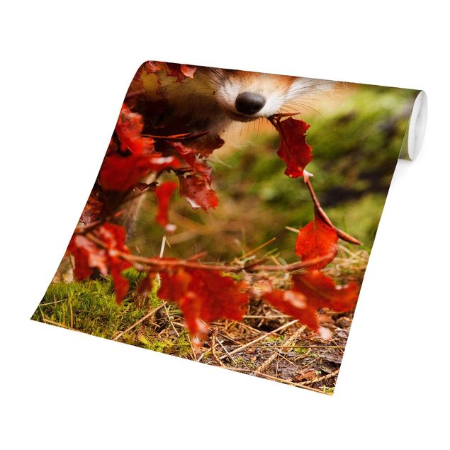 Fototapete - Fuchs im Herbst