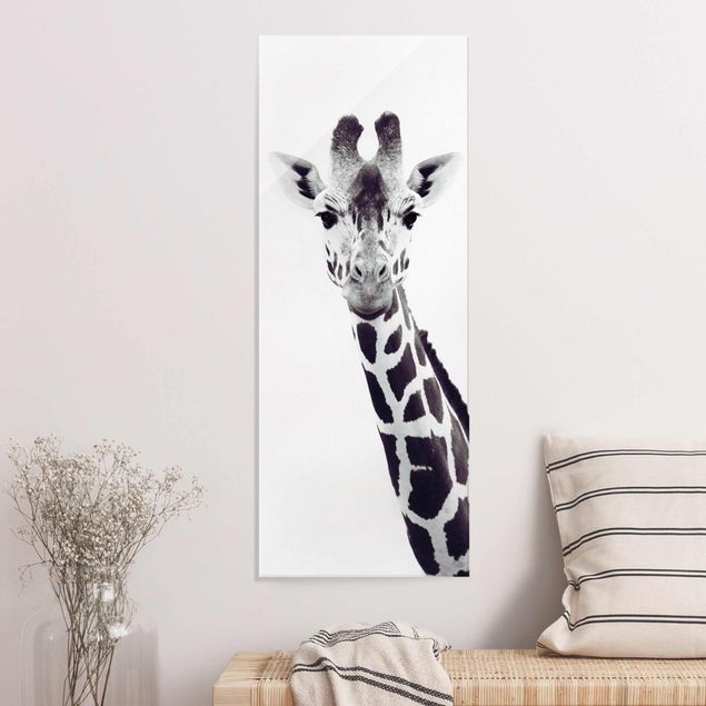 Glas Magnettafel Giraffen Portrait in Schwarz-weiß
