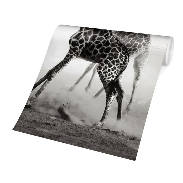 Fototapete - Giraffenjagd