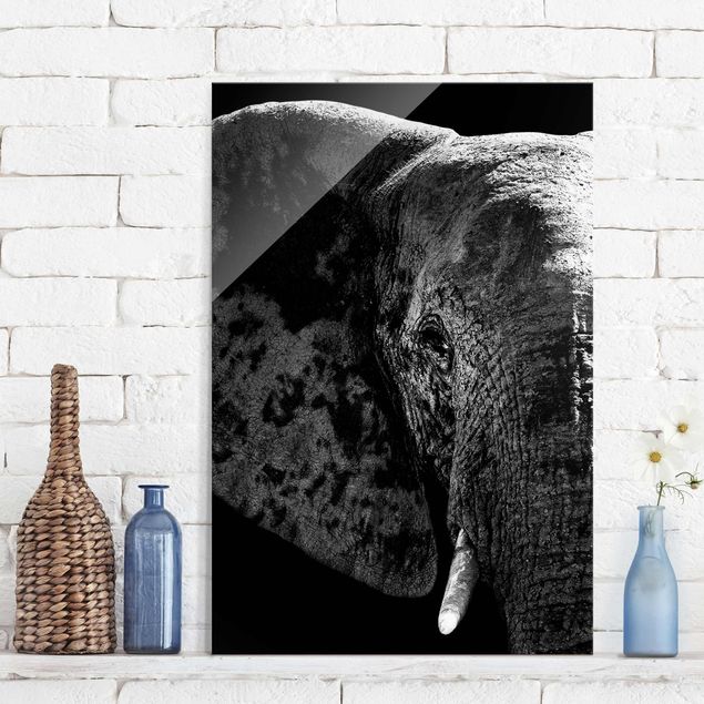 Glas Magnetboard Afrikanischer Elefant schwarz-weiss