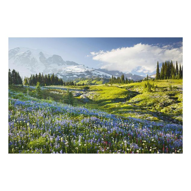 Glasbild Natur & Landschaft - Bergwiese mit blauen Blumen vor Mt. Rainier