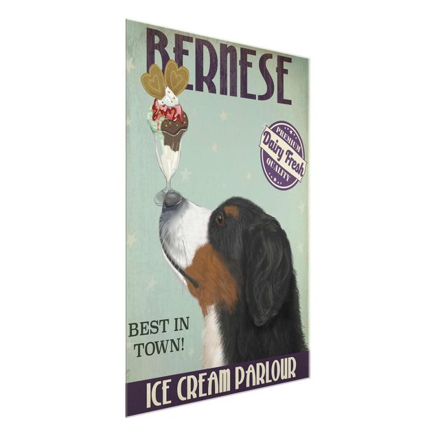 Glasbild - Berner Sennenhund mit Eis - Hochformat 4:3