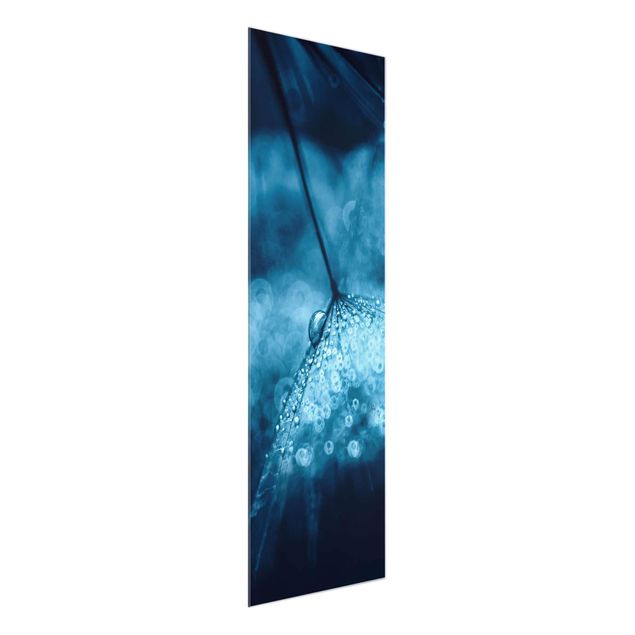 Glasbild - Blaue Pusteblume im Regen - Panel