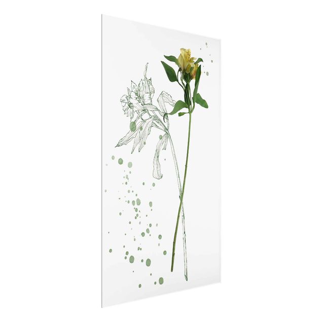 Glasbild - Botanisches Aquarell - Lilie - Hochformat 3:2