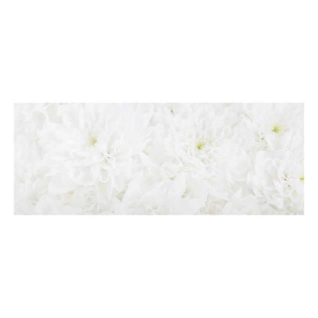 Glasbild - Dahlien Blumenmeer weiß - Panorama Quer