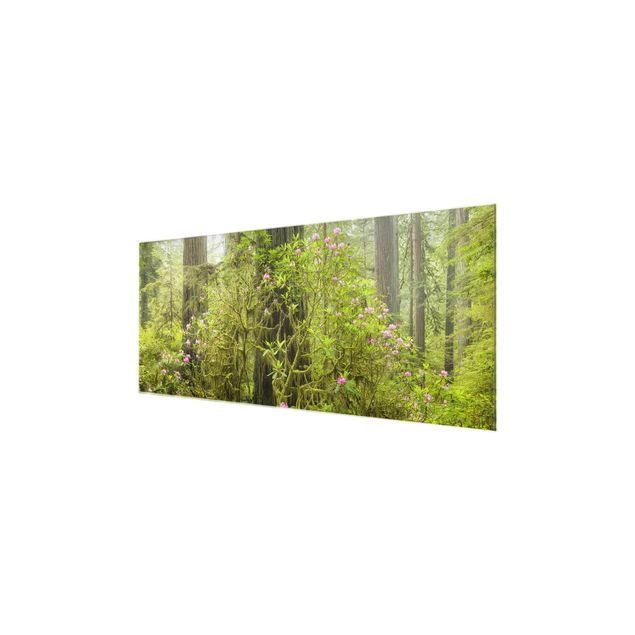 Glasbild - Del Norte Coast Redwoods State Park Kalifornien - Panorama