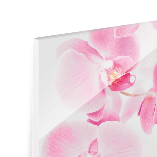Glasbild - Delicate Orchids - Quer 4:3