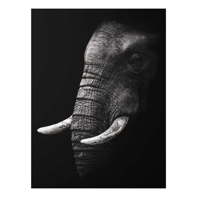 Glasbild - Dunkles Elefanten Portrait - Hochformat 4:3
