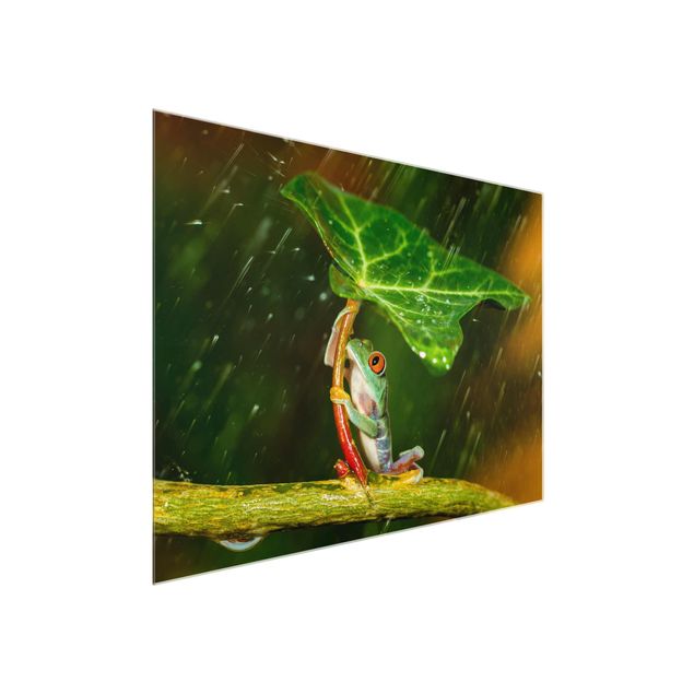 Glasbild - Ein Frosch im Regen - Querformat 3:4