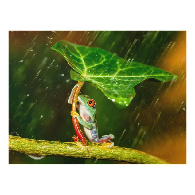 Glasbild - Ein Frosch im Regen - Querformat 3:4