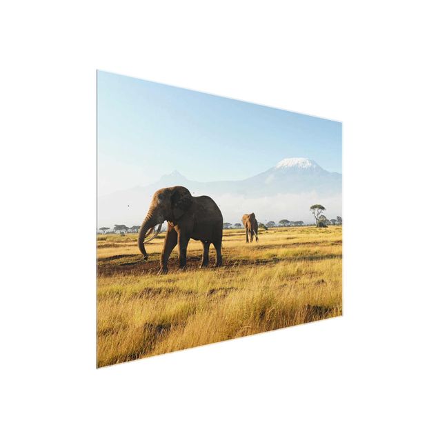 Glasbild Afrika - Elefanten vor dem Kilimanjaro in Kenya - Quer 4:3