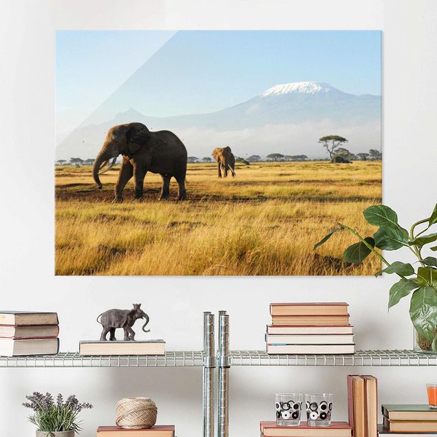 Glas Magnetboard Elefanten vor dem Kilimanjaro in Kenya