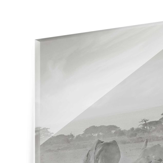 Glasbild - Elefantenherde - Quadrat 1:1