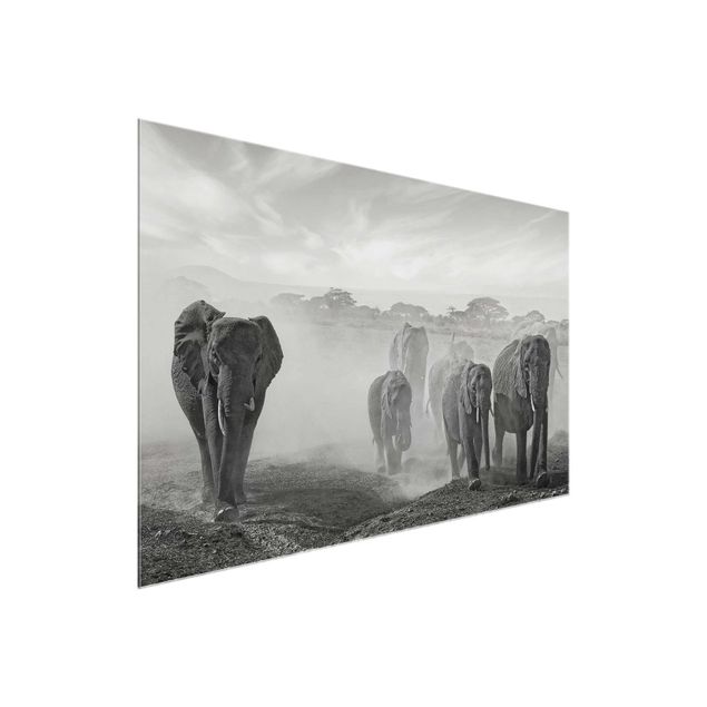 Glasbild - Elefantenherde - Quer 3:2