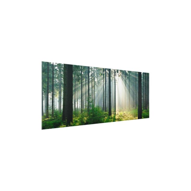 Glasbild - Enlightened Forest - Panorama Quer