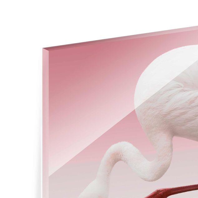 Glasbild - Flamingo Dance - Quadrat 1:1