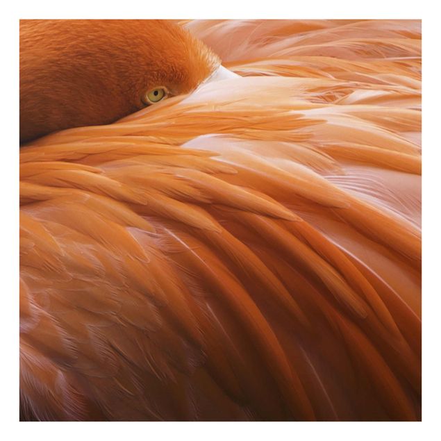 Glasbild - Flamingofedern - Quadrat 1:1
