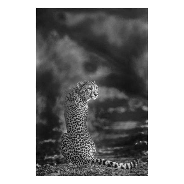 Glasbild - Gepard in der Wildness - Hochformat 3:2