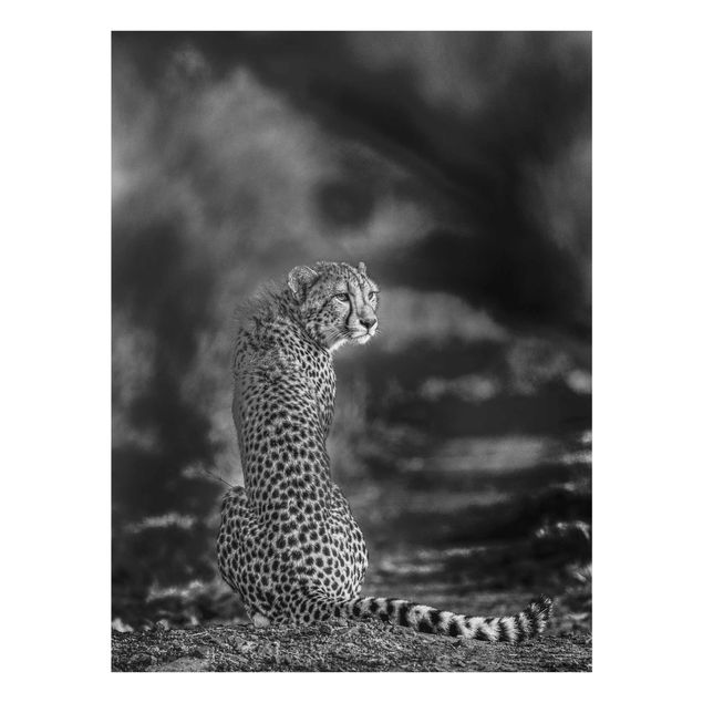 Glasbild - Gepard in der Wildness - Hochformat 4:3