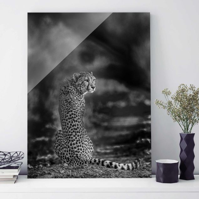 Glas Magnetboard Gepard in der Wildness
