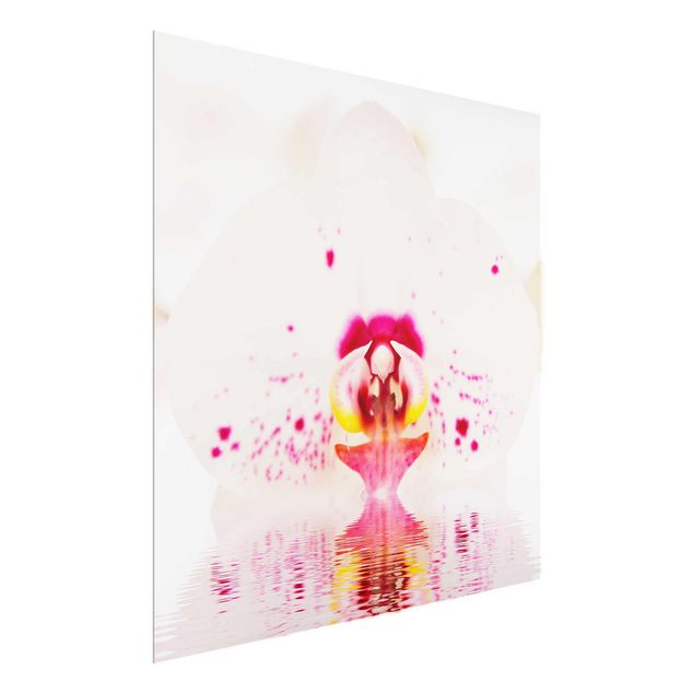 Glasbild - Gepunktete Orchidee auf Wasser - Quadrat 1:1